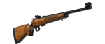 CZ 455