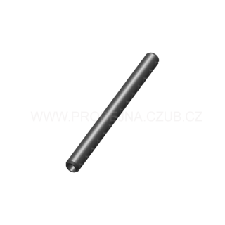 Čep hřbetu pro CZ P-10S / C / SC / F díl č.33